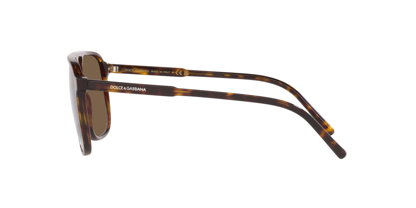 Dolce&Gabbana DG4423 Havana/Dark Brown #colour_havana-dark-brown