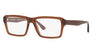 Emporio Armani EA3206 Shiny Transparent Brown #colour_shiny-transparent-brown