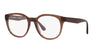 Emporio Armani EA3207 Shiny Transparent Brown #colour_shiny-transparent-brown