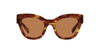 Miu Miu SMU01Y Light Havana/Brown #colour_light-havana-brown