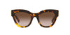 Miu Miu SMU01Y Honey Havana/Brown Gradient #colour_honey-havana-brown-gradient