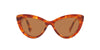 Miu Miu SMU04Y Light Havana/Brown #colour_light-havana-brown