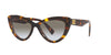 Miu Miu SMU04Y Honey Havana/Gradient Grey #colour_honey-havana-gradient-grey