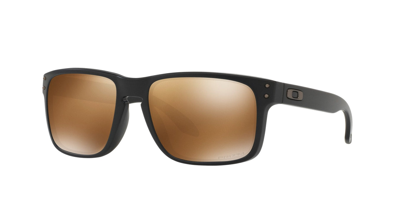 Oakley Holbrook OO9102 Black/Brown #colour_black-brown