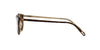 Oliver Peoples Riley Sun OV5004SU Horn/True Brown Polarised #colour_horn-true-brown-polarised