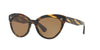 Oliver Peoples Roella OV5355SU Dark-Tortoise-Brown-Polarised #colour_dark-tortoise-brown-polarised