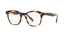 Oliver Peoples Cayson OV5464U Cocobolo #colour_cocobolo