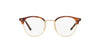 Oliver Peoples Reiland OV5469 Brushed Gold-Dark Mahogany #colour_brushed-gold-dark-mahogany