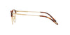 Oliver Peoples Reiland OV5469 Brushed Gold-Dark Mahogany #colour_brushed-gold-dark-mahogany