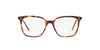 Oliver Peoples Rasey OV5488U Dark Mahogany #colour_dark-mahogany