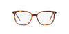 Oliver Peoples Rasey OV5488U Dark Mahogany #colour_dark-mahogany