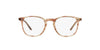 Oliver Peoples Finley 1993 OV5491U Hinoki Tortoise #colour_hinoki-tortoise