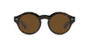 Oliver Peoples Cassavet OV5493SU Walnut Tortoise/True Polar #colour_walnut-tortoise-true-polar
