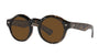 Oliver Peoples Cassavet OV5493SU Walnut Tortoise/True Polar #colour_walnut-tortoise-true-polar