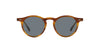 Oliver Peoples OP-13 Sun OV5504SU Sycamore/Indigo Photochromic #colour_sycamore-indigo-photochromic