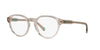 Polo Ralph Lauren PH2233 Shiny Transparent Light Brown #colour_shiny-transparent-light-brown