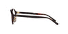 Polo Ralph Lauren PH2251U Shiny Dark Havana #colour_shiny-dark-havana