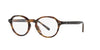 Polo Ralph Lauren PH2251U Shiny Jerry Havana #colour_shiny-jerry-havana