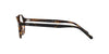 Polo Ralph Lauren PH2251U Shiny Jerry Havana #colour_shiny-jerry-havana