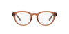 Polo Ralph Lauren PH2262 Shiny Transparent Brown #colour_shiny-transparent-brown
