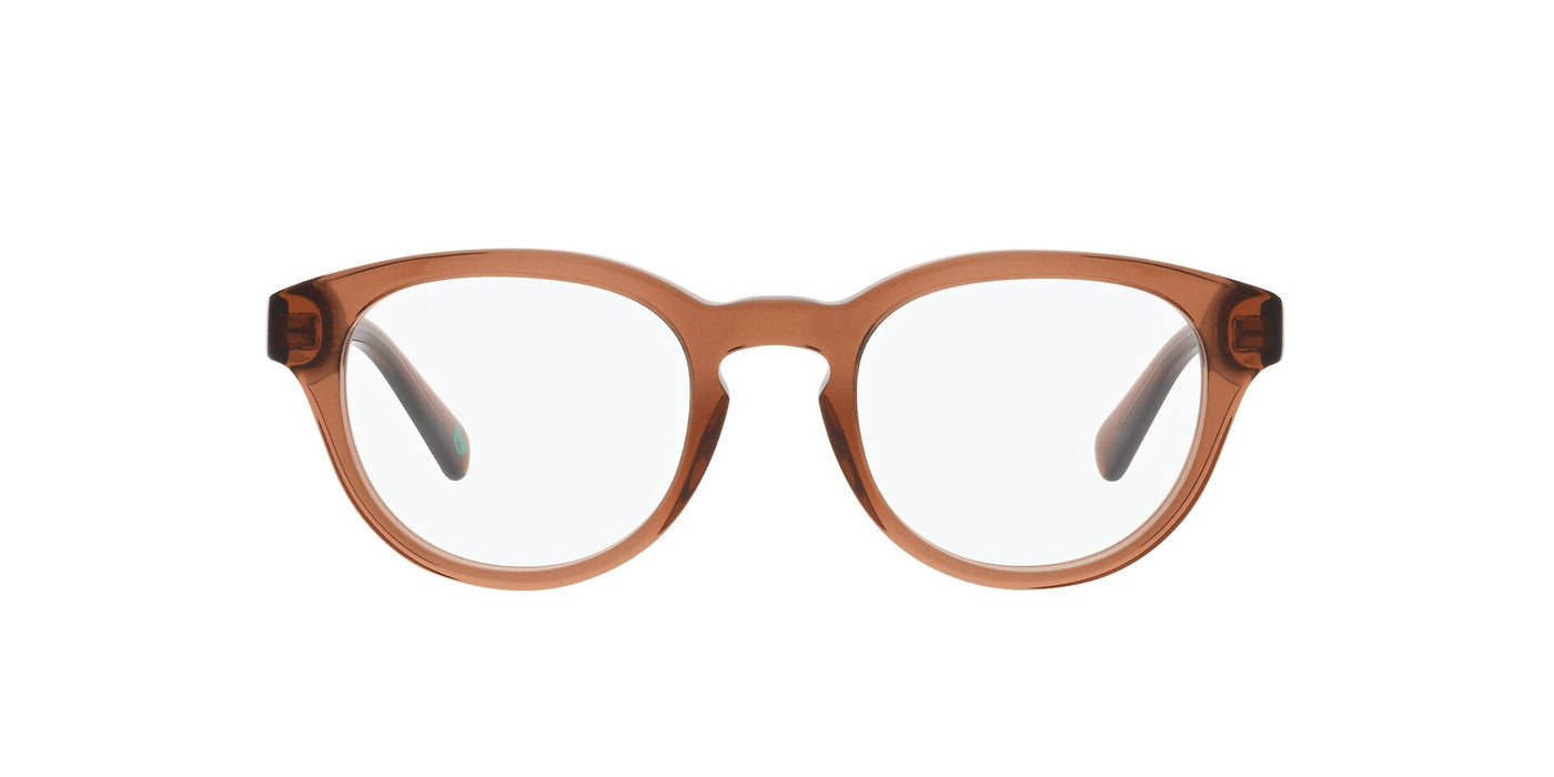 Polo Ralph Lauren PH2262 Shiny Transparent Brown #colour_shiny-transparent-brown