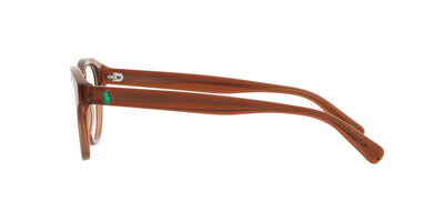 Polo Ralph Lauren PH2262 Shiny Transparent Brown #colour_shiny-transparent-brown