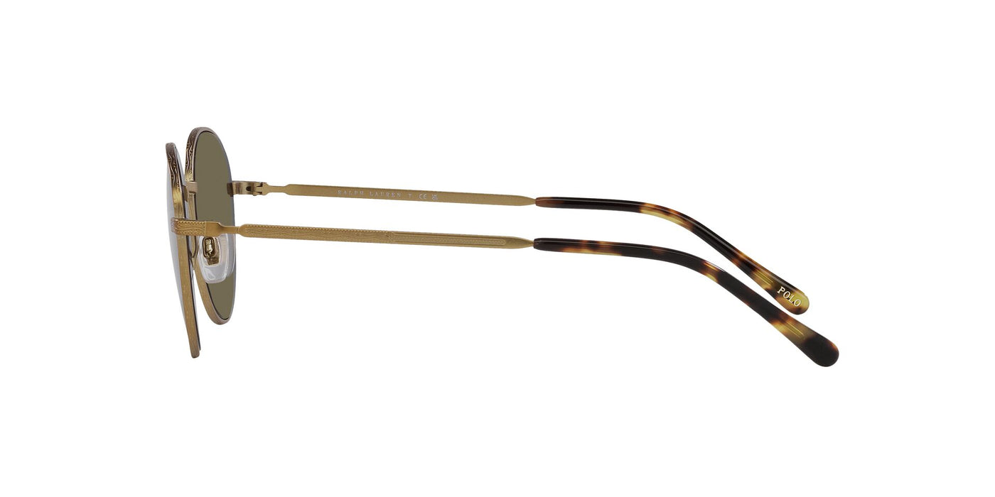 Polo Ralph Lauren PH3144 Semishiny Brass/Brown #colour_semishiny-brass-brown