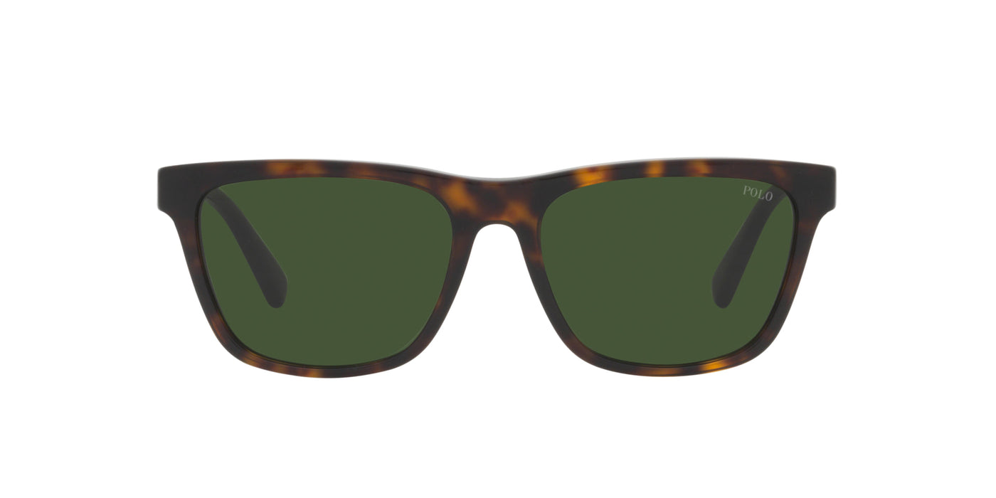 Polo Ralph Lauren PH4167 Shiny Dark Havana Wimbledon/Dark Green #colour_shiny-dark-havana-wimbledon-dark-green