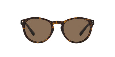 Polo Ralph Lauren PH4172 Shiny Dark Havana/Brown #colour_shiny-dark-havana-brown