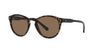 Polo Ralph Lauren PH4172 Shiny Dark Havana/Brown #colour_shiny-dark-havana-brown