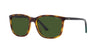 Polo Ralph Lauren PH4185U Shiny Havana/Dark Green #colour_shiny-havana-dark-green