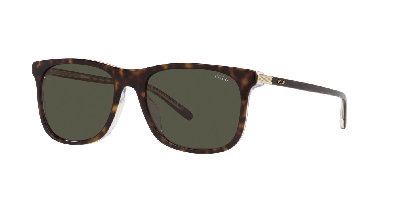 Polo Ralph Lauren PH4186 Shiny Havana On Crystal/Dark Green #colour_shiny-havana-on-crystal-dark-green