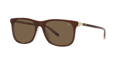 Polo Ralph Lauren PH4186 Shiny Transp Brown On Crystal/Brown #colour_shiny-transp-brown-on-crystal-brown