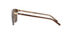 Polo Ralph Lauren PH4186 Shiny Transp Brown On Crystal/Brown #colour_shiny-transp-brown-on-crystal-brown