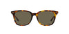 Polo Ralph Lauren PH4187 Shiny Antique Tortoise/Brown #colour_shiny-antique-tortoise-brown