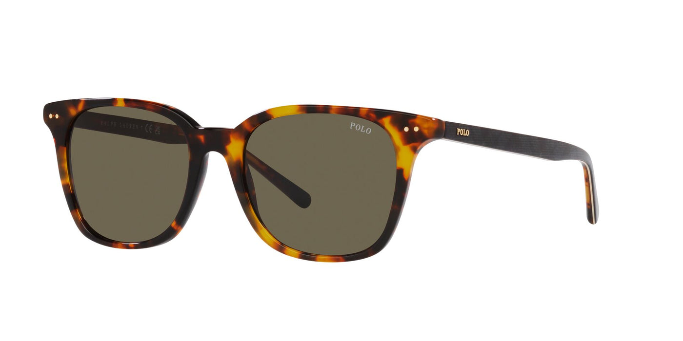 Polo Ralph Lauren PH4187 Shiny Antique Tortoise/Brown #colour_shiny-antique-tortoise-brown