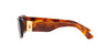 Polo Ralph Lauren PH4191U Shiny Orange Havana/Blue #colour_shiny-orange-havana-blue