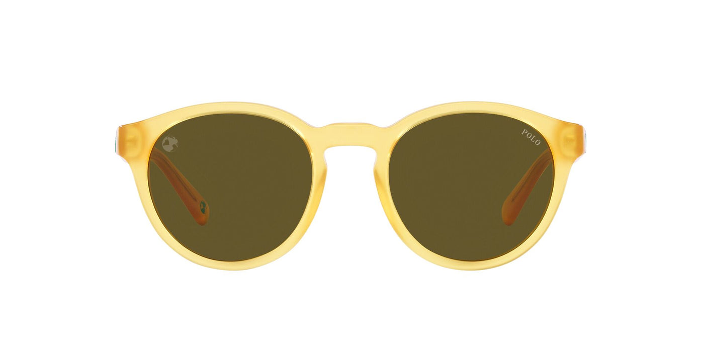 Polo Ralph Lauren PH4192 Shiny Opal Honey/Dark Brown Olive #colour_shiny-opal-honey-dark-brown-olive