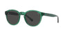 Polo Ralph Lauren PH4192 Shiny Transparent Green/Dark Grey #colour_shiny-transparent-green-dark-grey