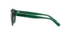 Polo Ralph Lauren PH4192 Shiny Transparent Green/Dark Grey #colour_shiny-transparent-green-dark-grey