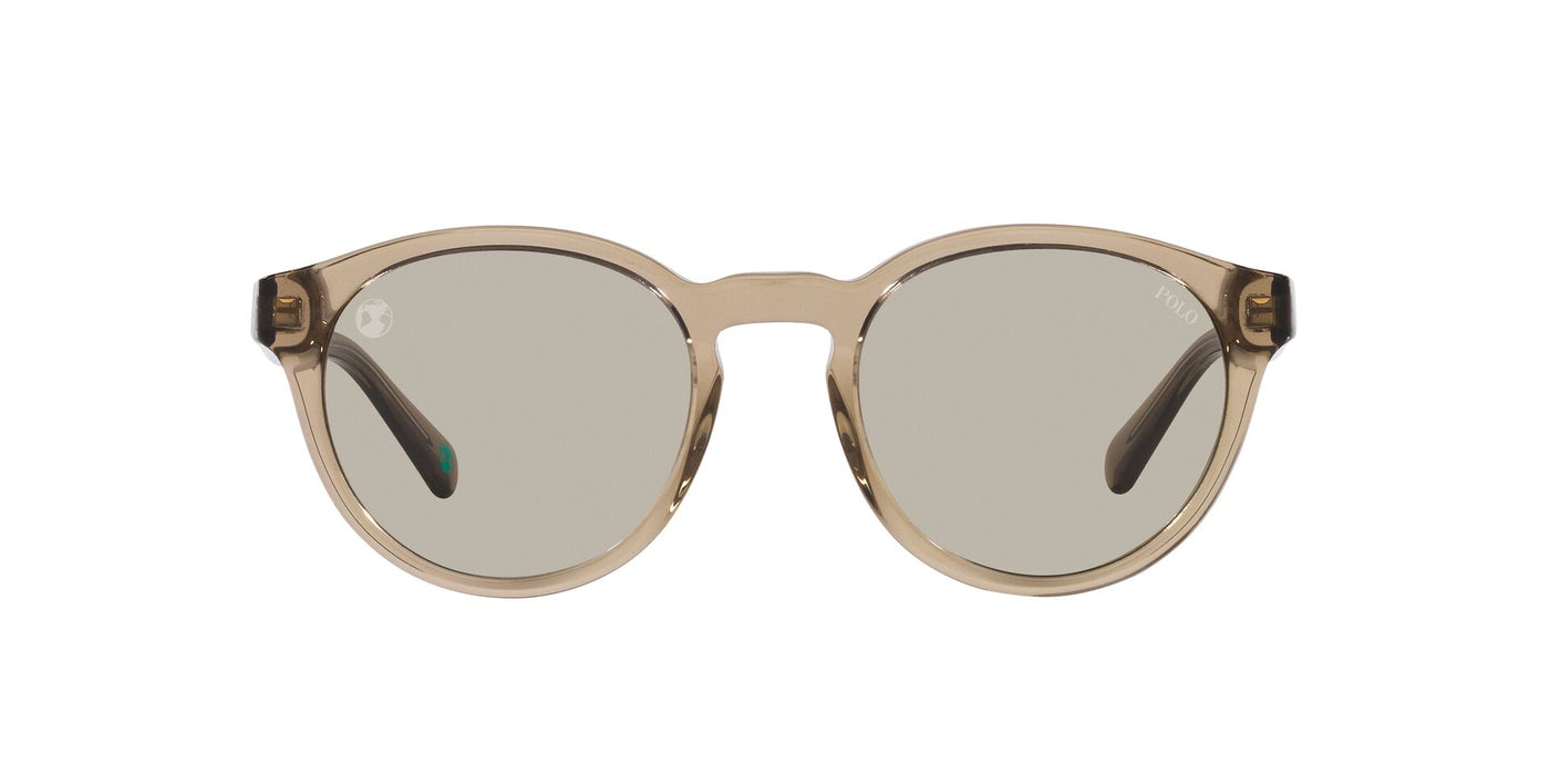 Polo Ralph Lauren PH4192 Shiny Transparent Light Brown/Light Brown #colour_shiny-transparent-light-brown-light-brown
