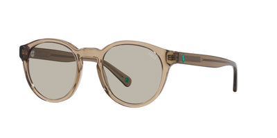 Polo Ralph Lauren PH4192 Shiny Transparent Light Brown/Light Brown #colour_shiny-transparent-light-brown-light-brown