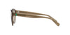 Polo Ralph Lauren PH4192 Shiny Transparent Light Brown/Light Brown #colour_shiny-transparent-light-brown-light-brown