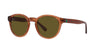 Polo Ralph Lauren PH4192 Shiny Transparent Brown/Dark Brown Olive #colour_shiny-transparent-brown-dark-brown-olive