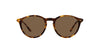 Polo Ralph Lauren PH4193 Shiny Spotty Havana/Dark Brown #colour_shiny-spotty-havana-dark-brown