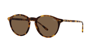 Polo Ralph Lauren PH4193 Shiny Spotty Havana/Dark Brown #colour_shiny-spotty-havana-dark-brown