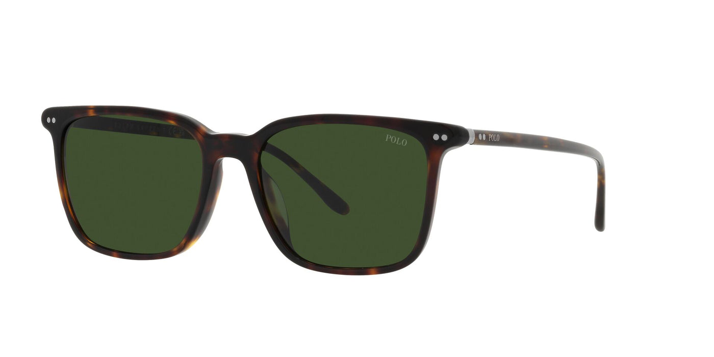 Polo Ralph Lauren PH4194U Shiny Dark Havana/Dark Green #colour_shiny-dark-havana-dark-green