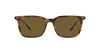 Polo Ralph Lauren PH4194U Shiny Beige Tortoise/Olive Green #colour_shiny-beige-tortoise-olive-green