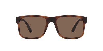 Polo Ralph Lauren PH4195U Matte Brown Havana/Brown #colour_matte-brown-havana-brown