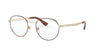 Persol PO2460V Gold-Havana #colour_gold-havana